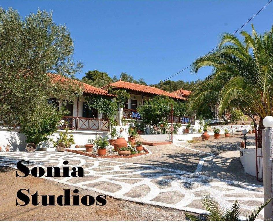 Sonia Studios Nees Kidonies الغرفة الصورة