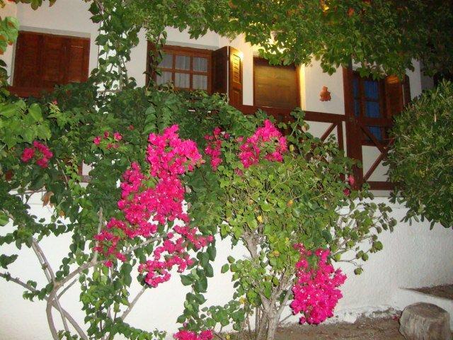 Sonia Studios Nees Kidonies الغرفة الصورة